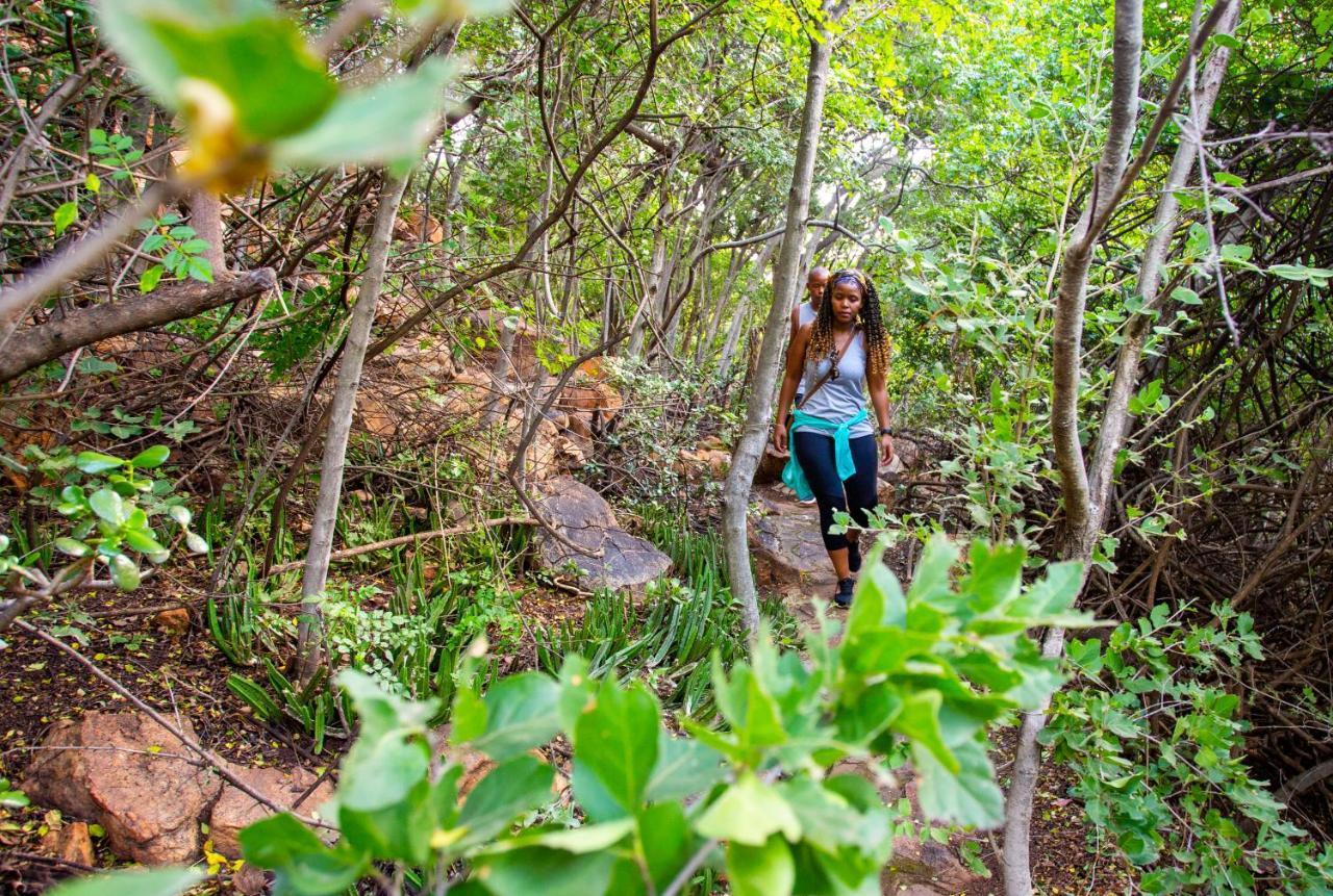 The Cliffside Boutique Getaway Guest House Johannesburg Ngoại thất bức ảnh